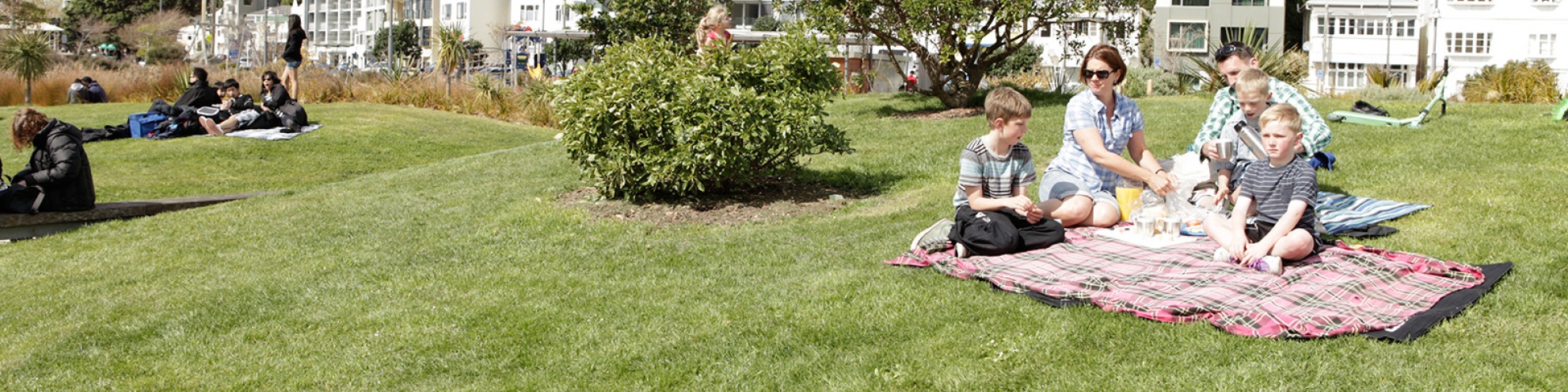 Family enjoying picnic in Waitangi Park.