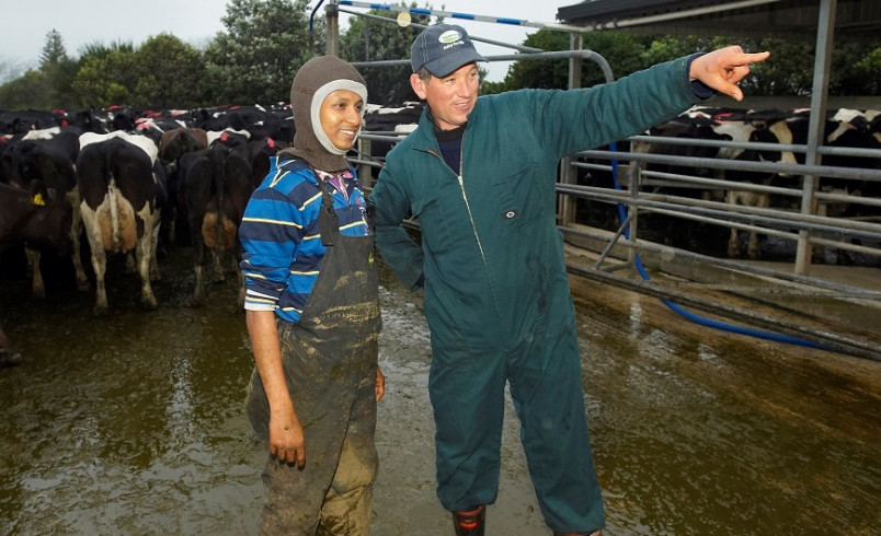 Farmer pointing something out to a migrant dairy worker 