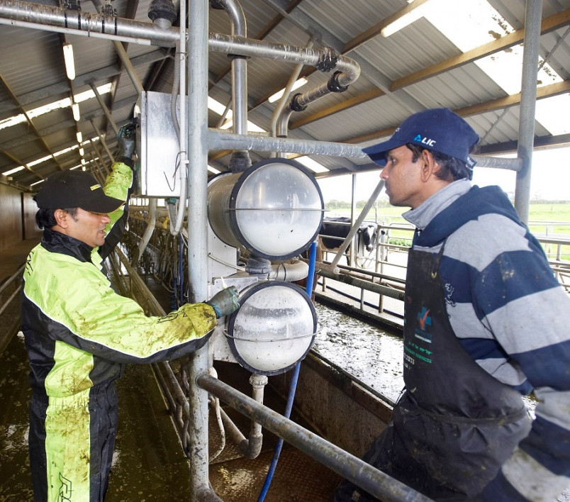 Farm worker showing a migrant worker some equipment