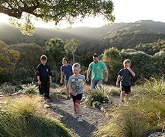 Walks in Wellington, New Zealand