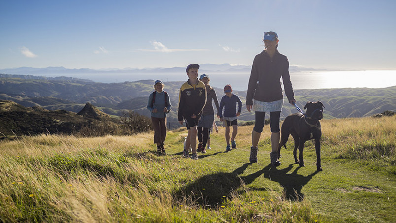 Family walking with a dog