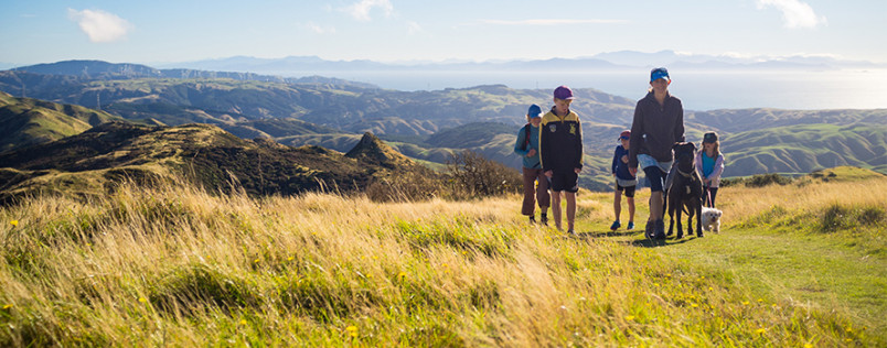 Moving to New Zealand as a Mechanical Engineer