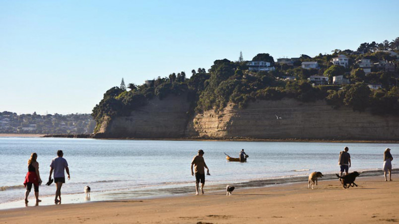 Beach safety in New Zealand