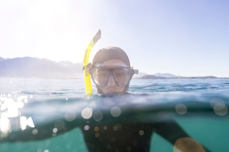 Adventure activities in New Zealand like swimming with dolphins