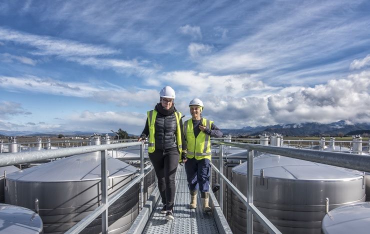 Wine vats in Marlborough