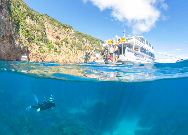 Visiting the Poor Knights islands