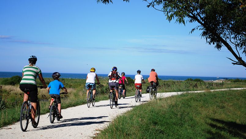 Biking in Hawke's Bay