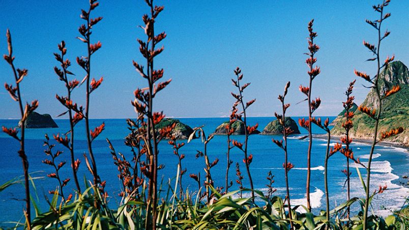 Mokau, coastal settlement of early Māori