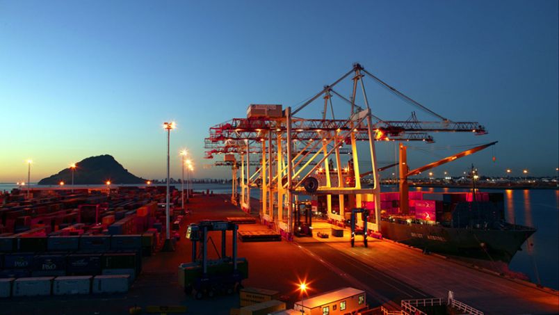 Port of Tauranga at night